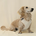 Damoré neutrals harness with reflectors