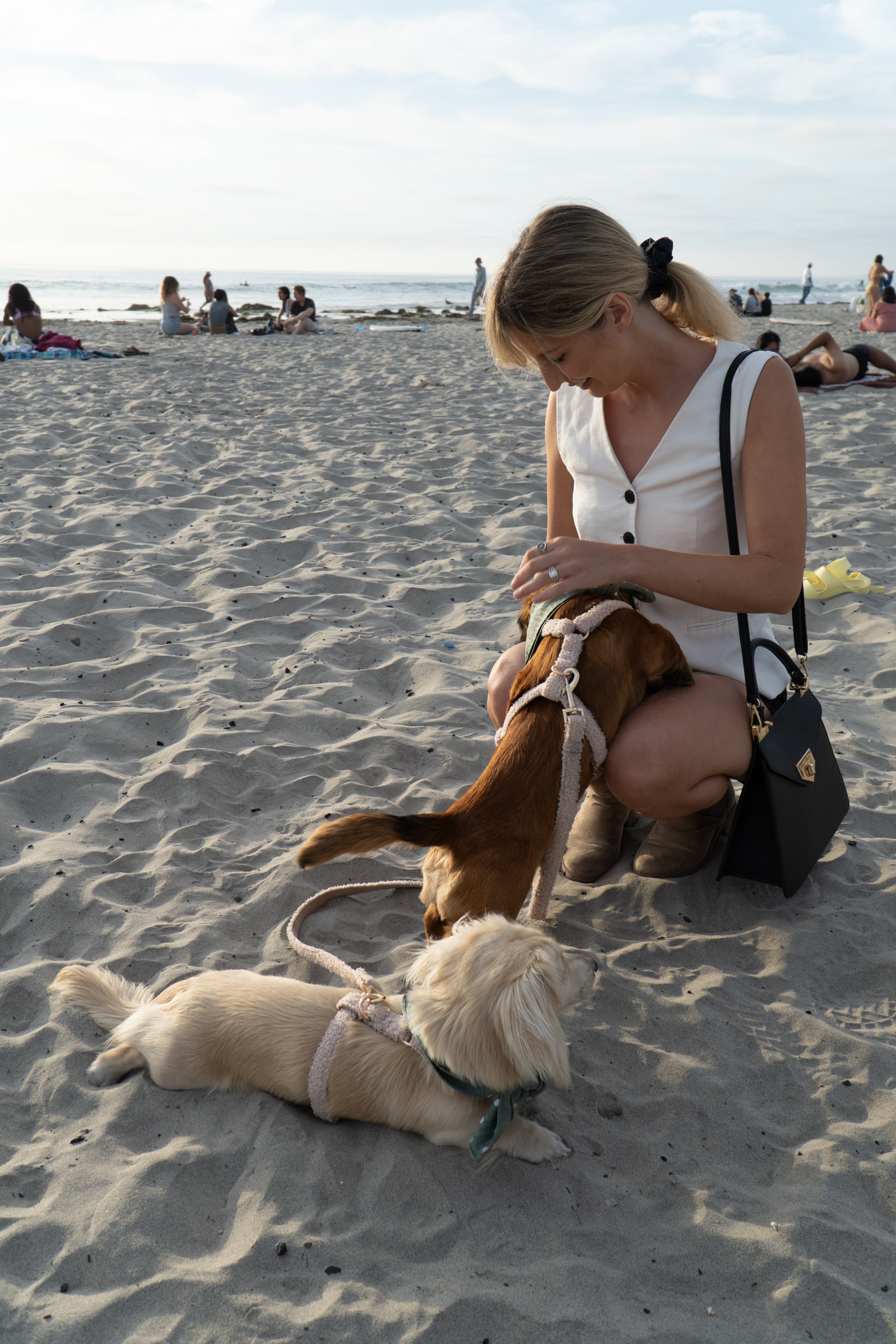 Plush Fleece Signature Harness & Leash Set