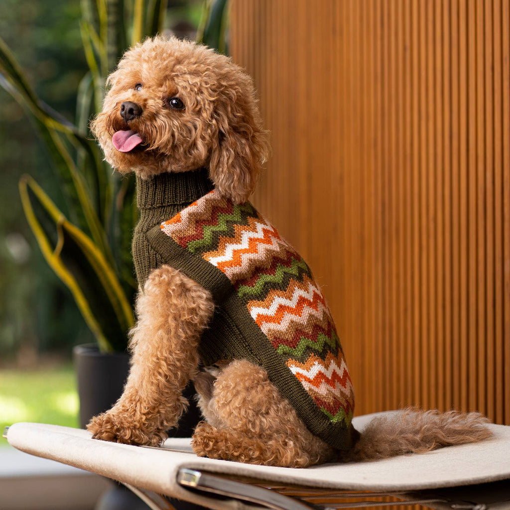 Alqo Wasi Alpaca Knit Dog Sweater