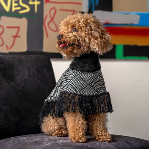 Alqo Wasi Diamond Black Alpaca Dog Poncho