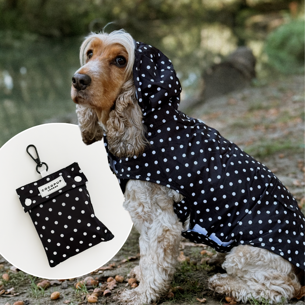 Dog Raincoat - Black Polka Dot