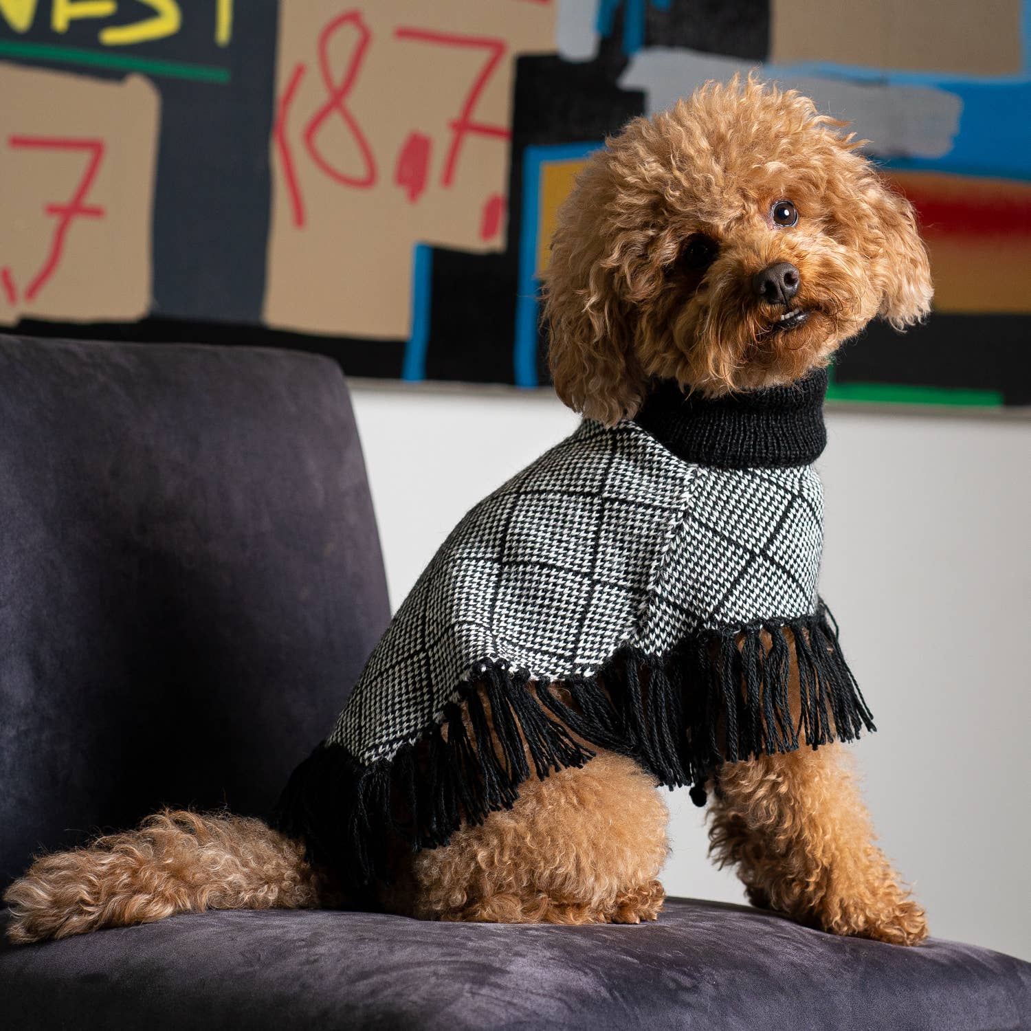Alqo Wasi Diamond Black Alpaca Dog Poncho