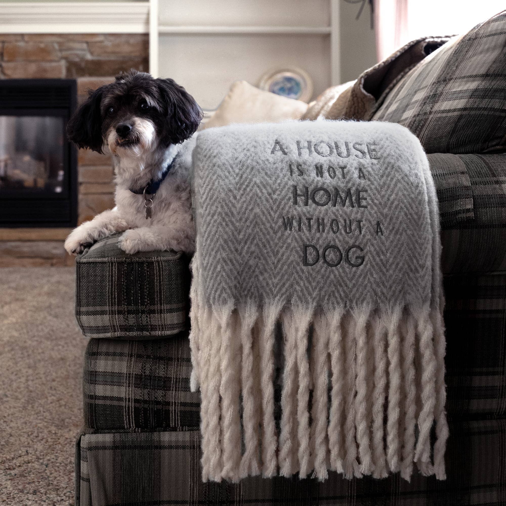 Dog - 50" x 60" Herringbone  Blanket