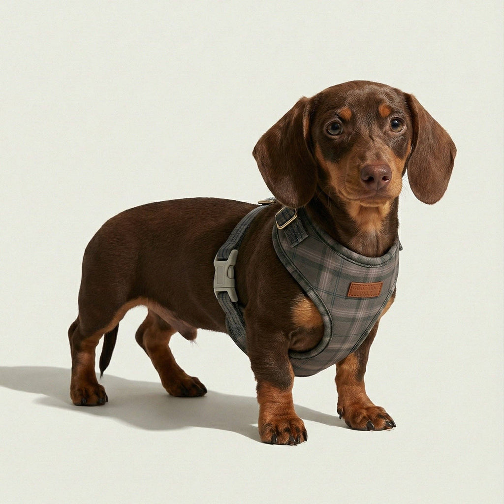 Chestnut Plaid Harness