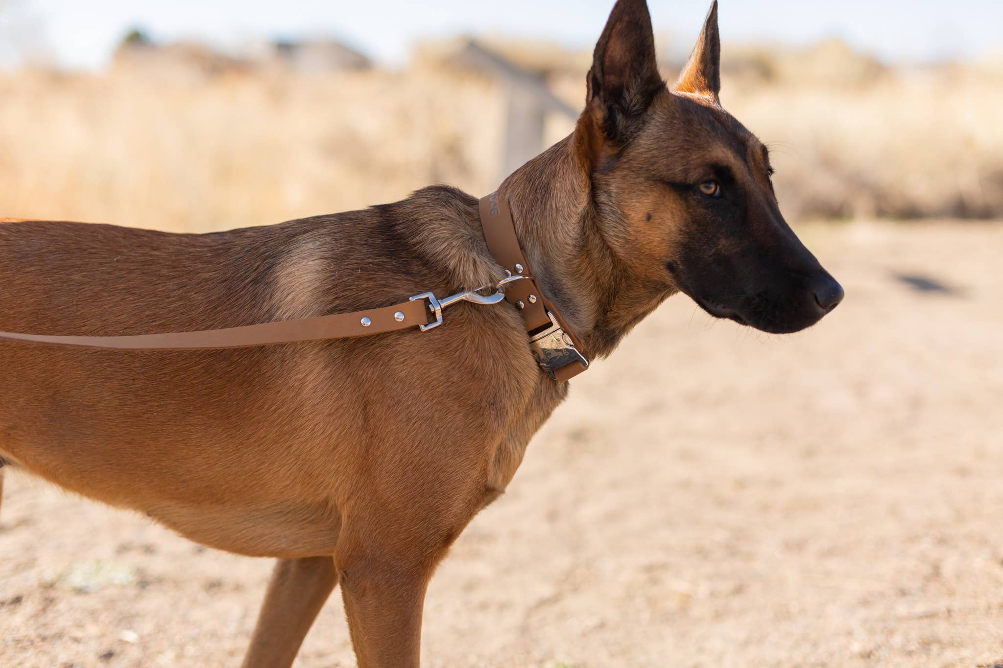 The Signature Soft-Grain Leash