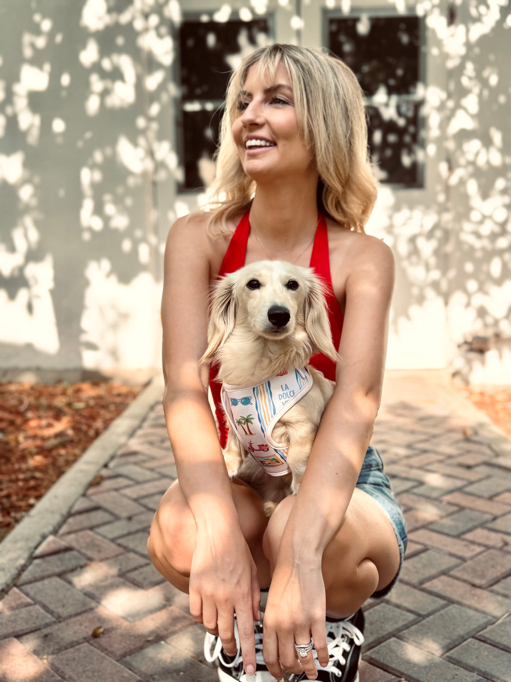 La Damoré Vita Harness