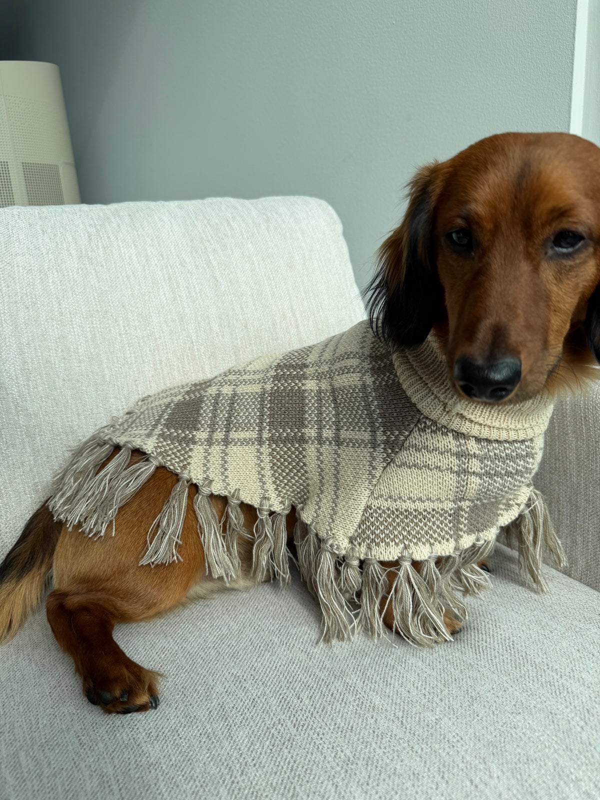 Damoré Plaid Poncho