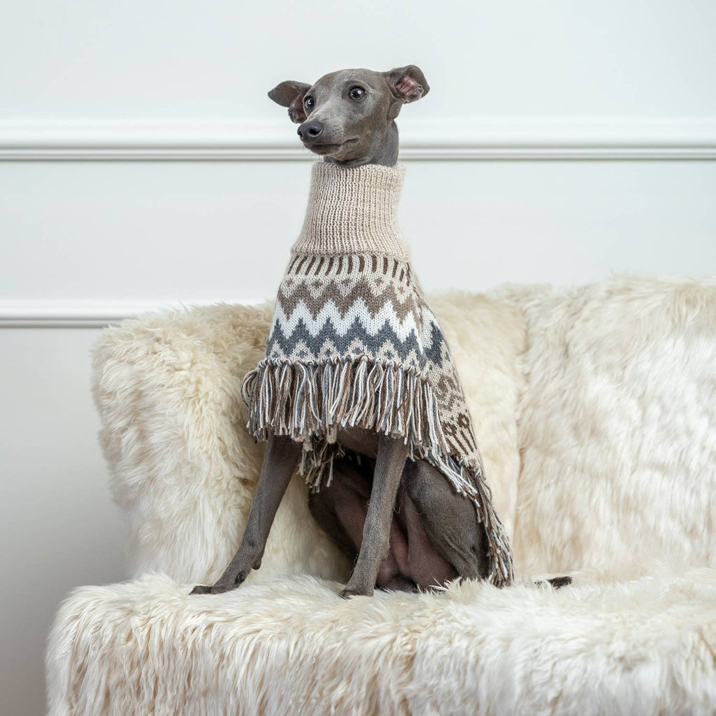 Alqo Wasi Alpaca Dog Poncho
