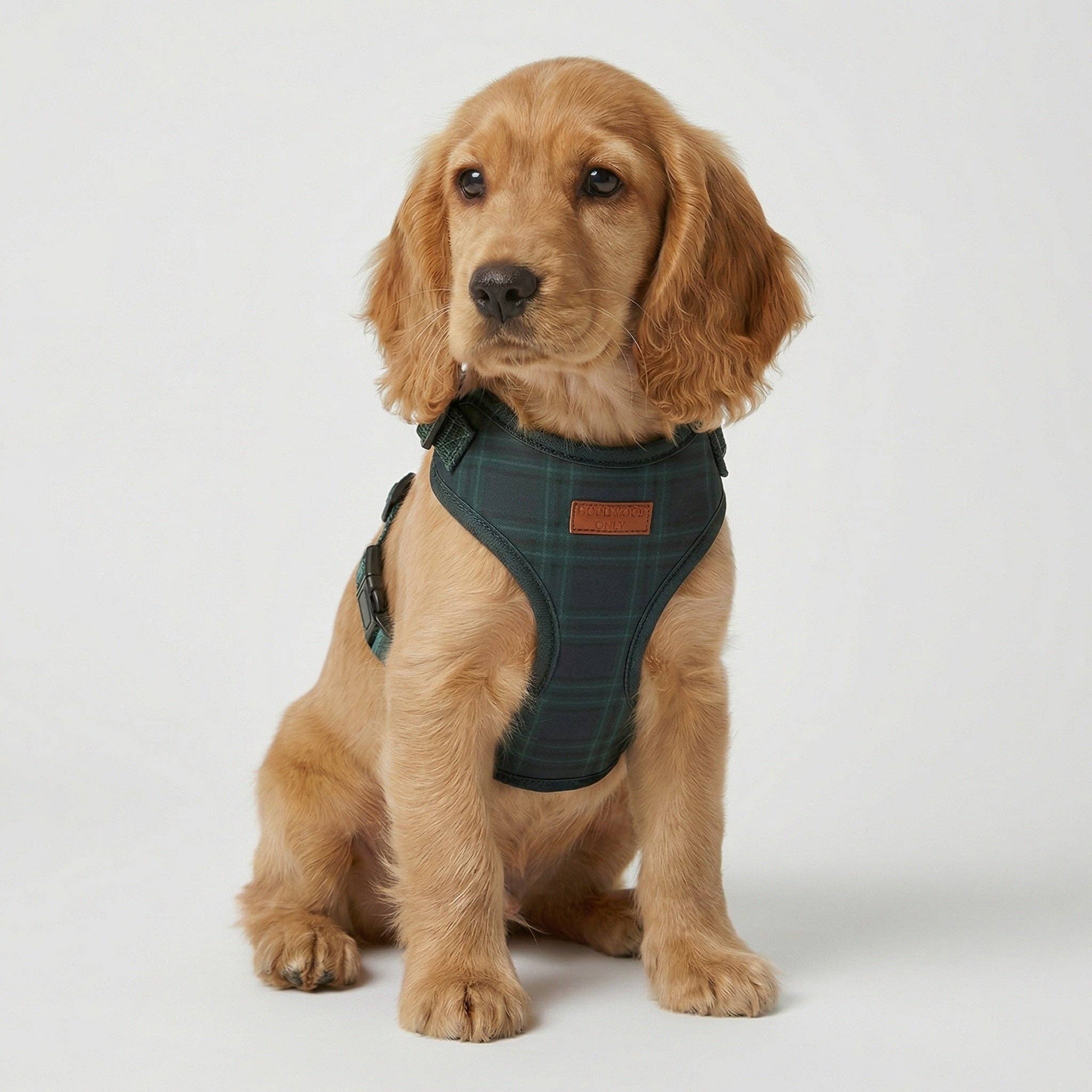 Chestnut Plaid Harness