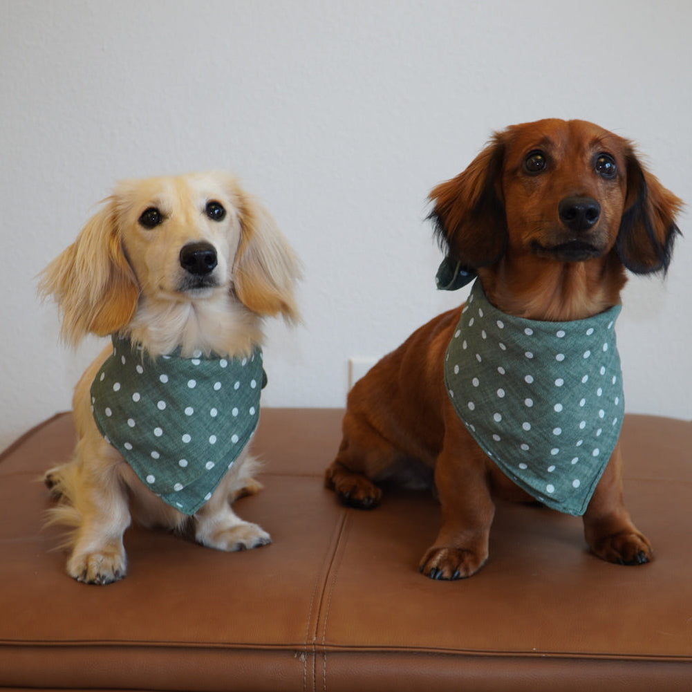 Damoré Classic Scarf & Bandana