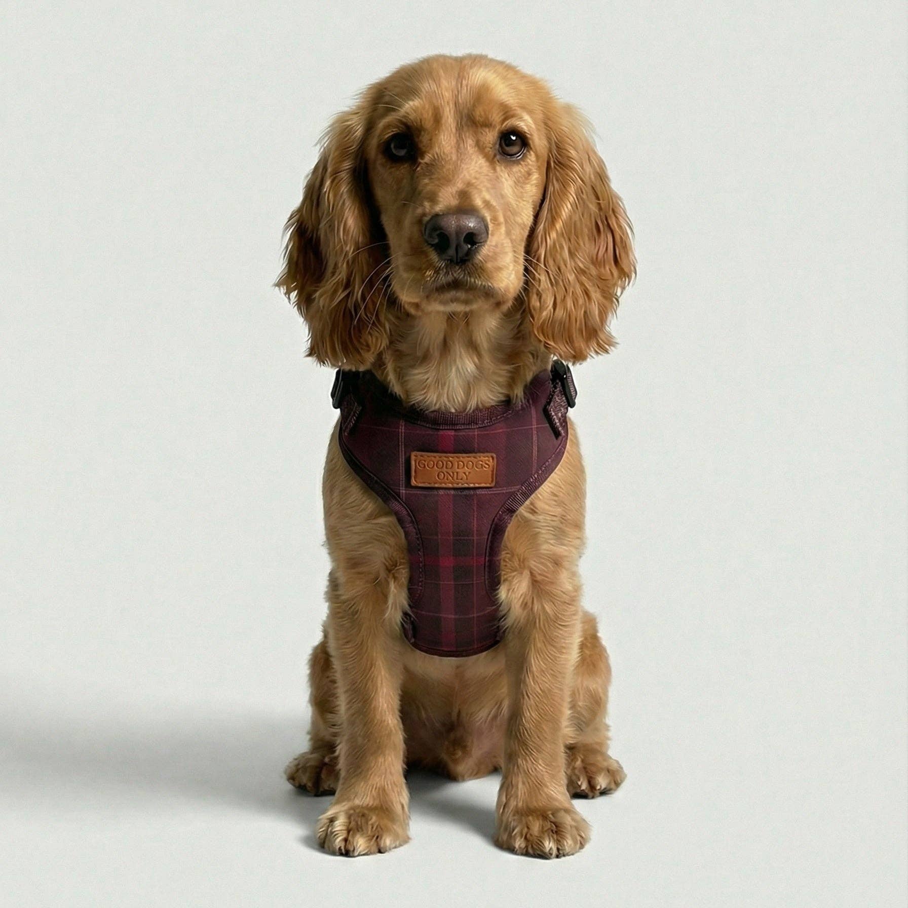 Chestnut Plaid Harness