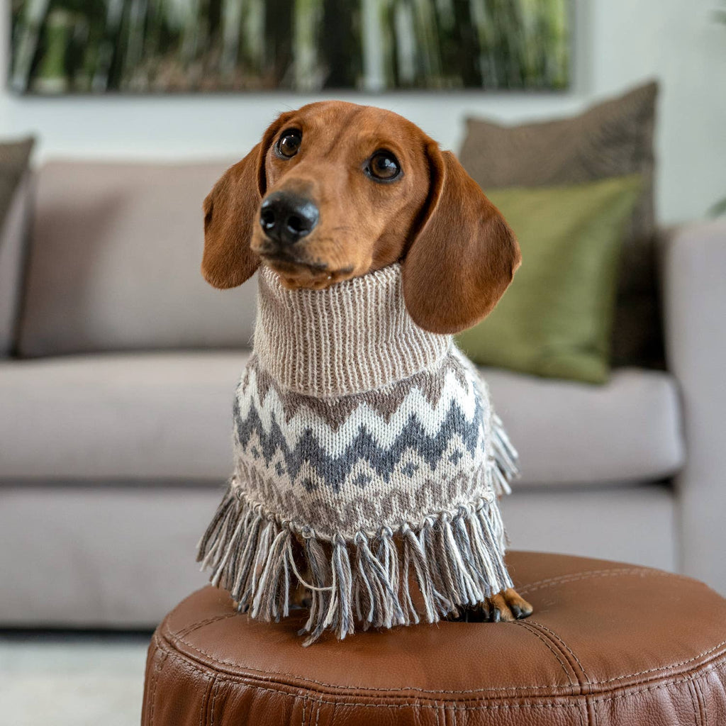Alqo Wasi Alpaca Dog Poncho