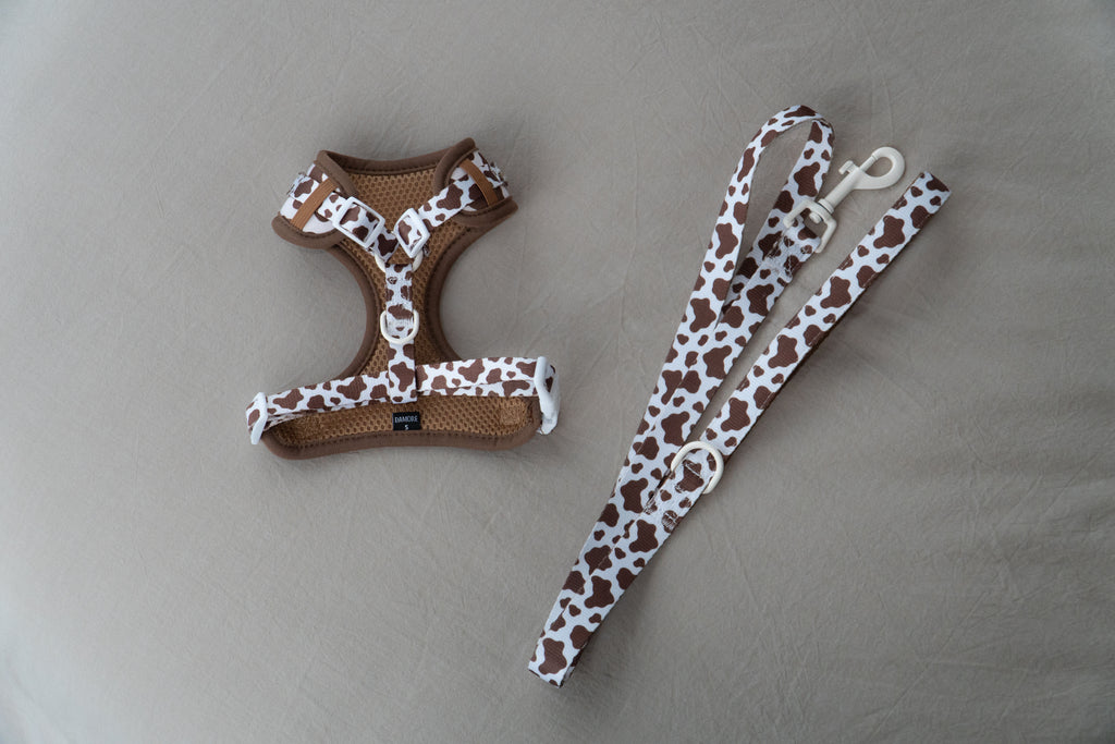 The Cocoa Ranch Harness + Leash Set
