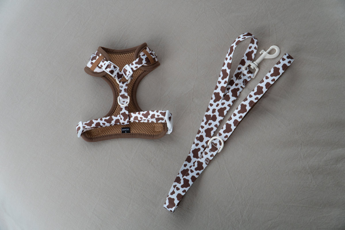 The Cocoa Ranch Harness + Leash Set