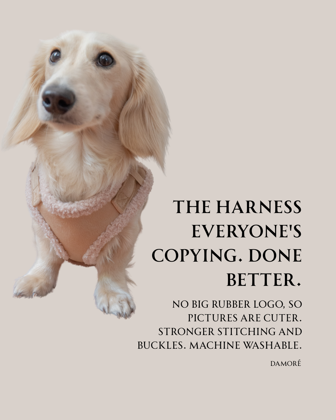 Damoré Sherpa Aviator Harness