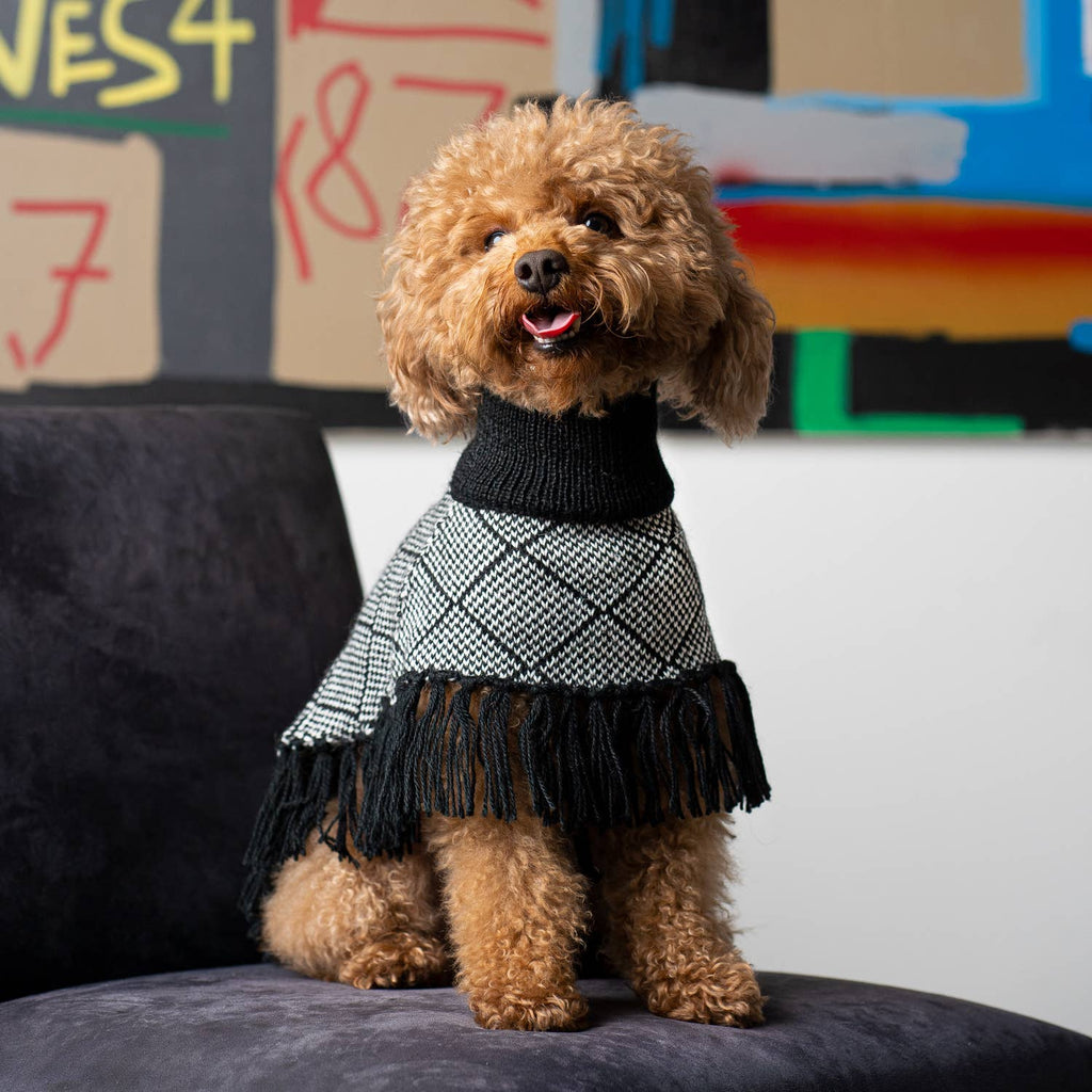 Alqo Wasi Diamond Black Alpaca Dog Poncho