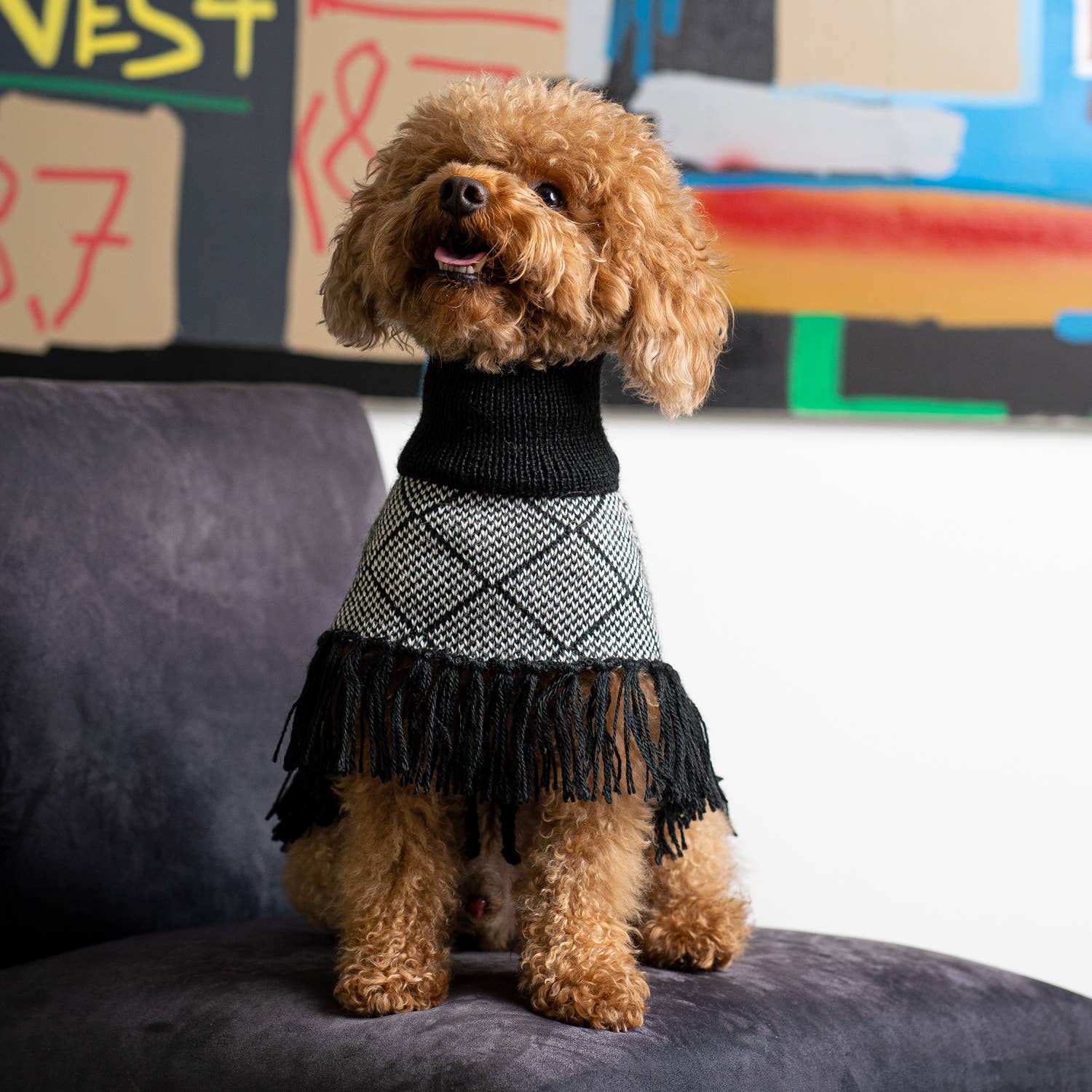 Alqo Wasi Diamond Black Alpaca Dog Poncho