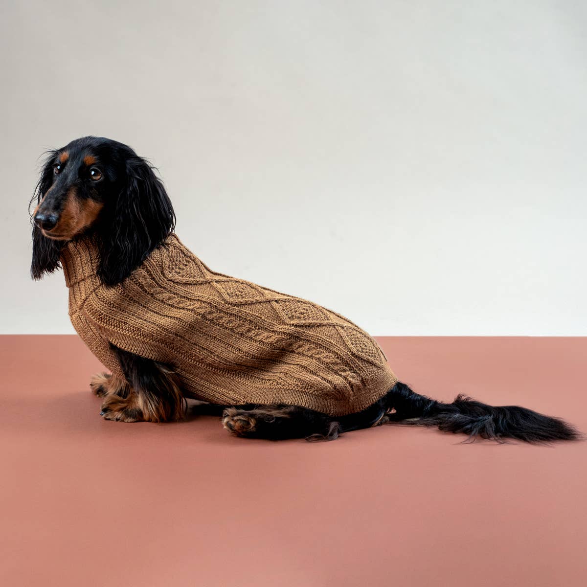 Camel Aran Alpaca Dog Sweater