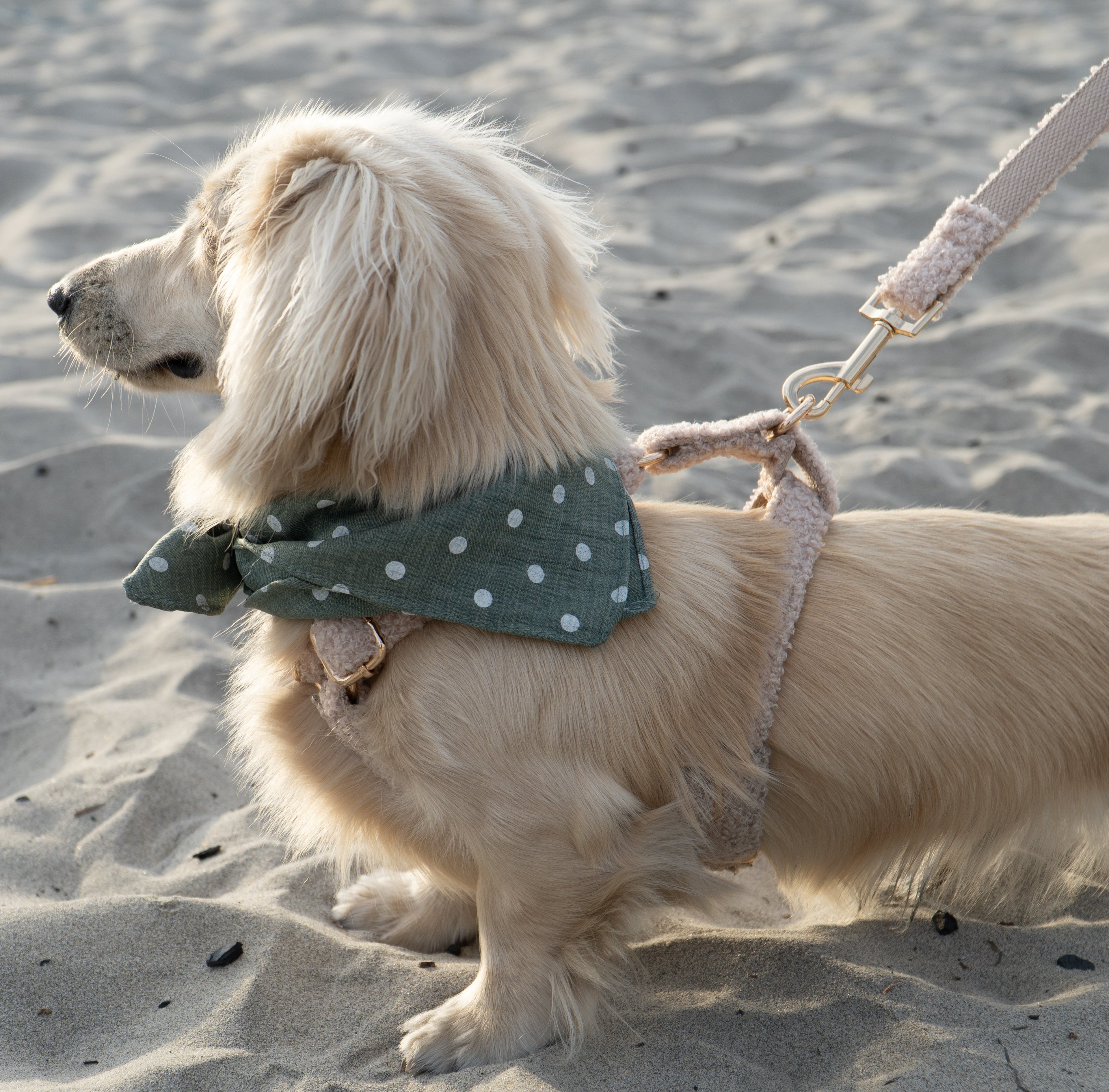 Plush Fleece Signature Harness & Leash Set