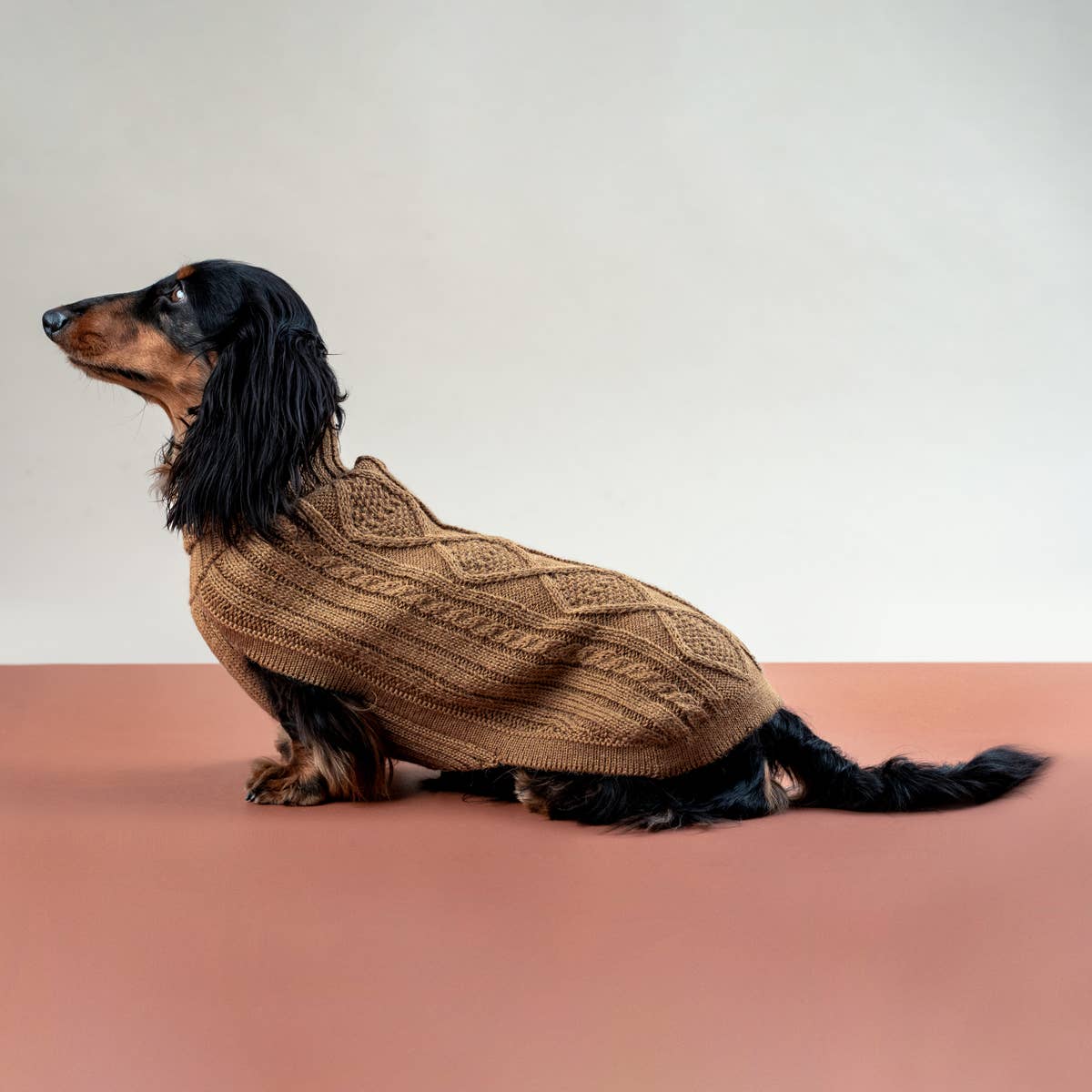 Camel Aran Alpaca Dog Sweater
