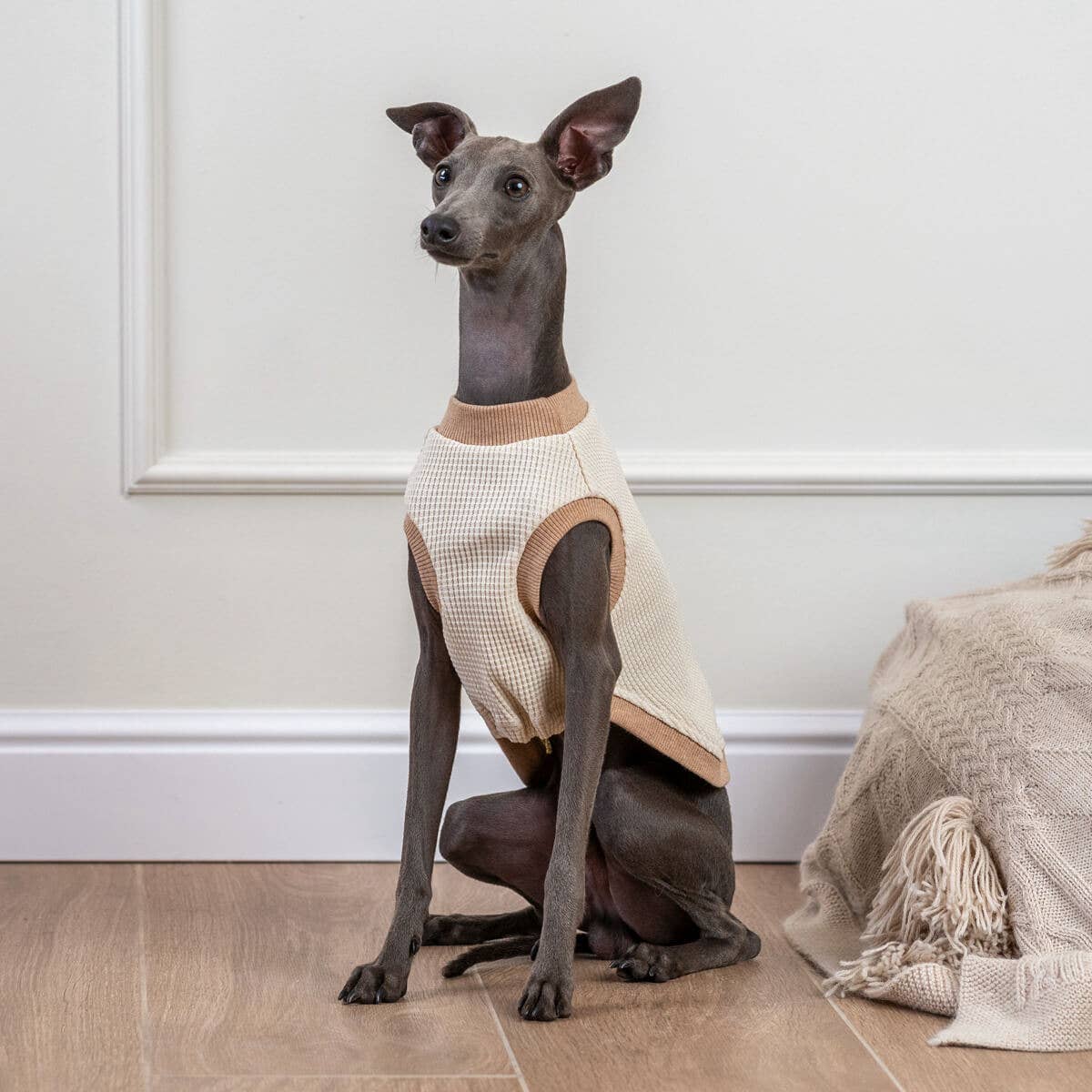 Alqo Wasi Cotton Dog Tank