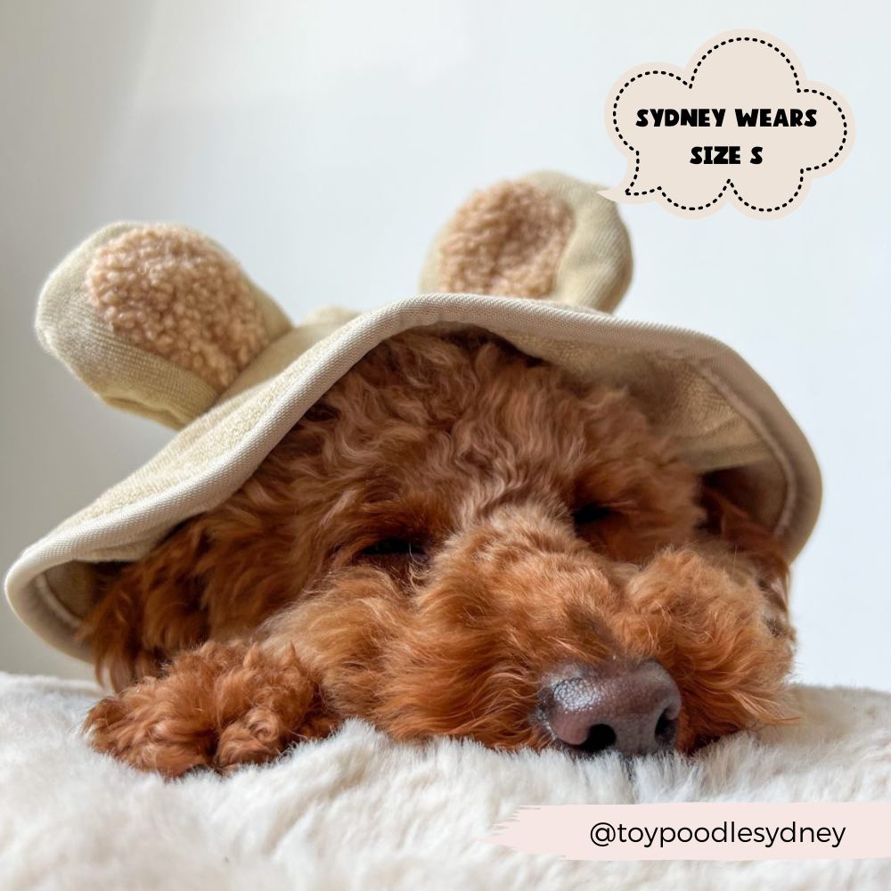 Teddy Drying Robe