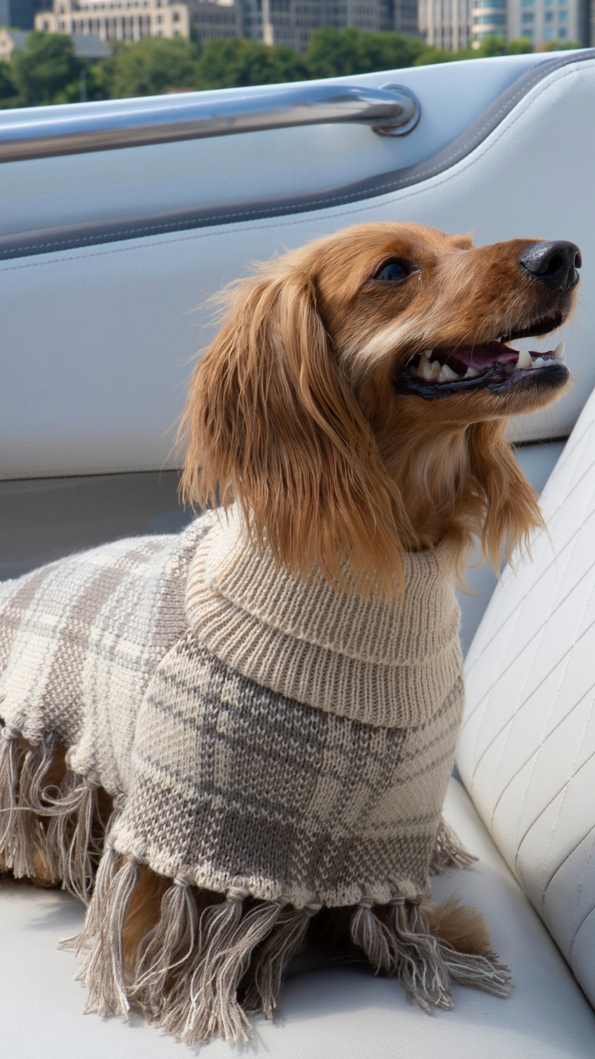 Dachshund in Plaid Poncho on a boat.