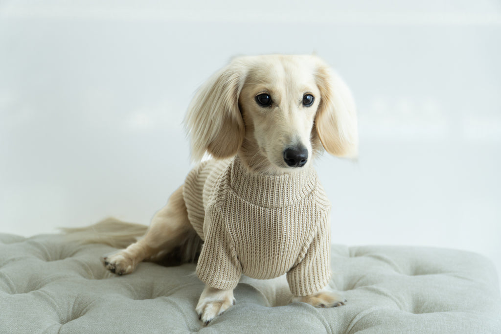 Damoré Beige Knit