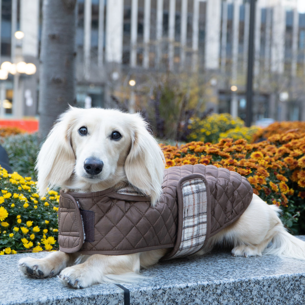 Damon wearing taupe Quilted Jacket with plaid trim outdoors.