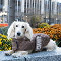 Damon wearing taupe Quilted Jacket with plaid trim outdoors.