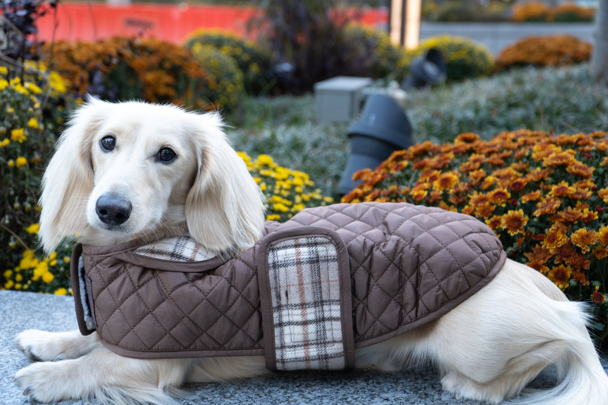 Side view of Damon in Quilted Jacket showing diamond stitching.