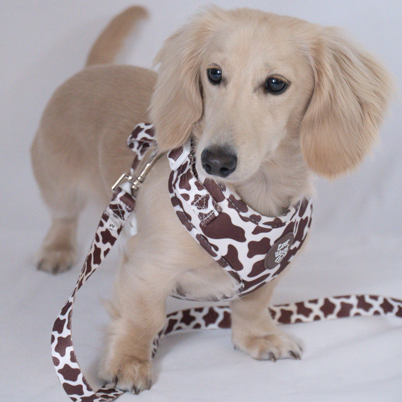 Cocoa Ranch Print Harness by EverWoof
