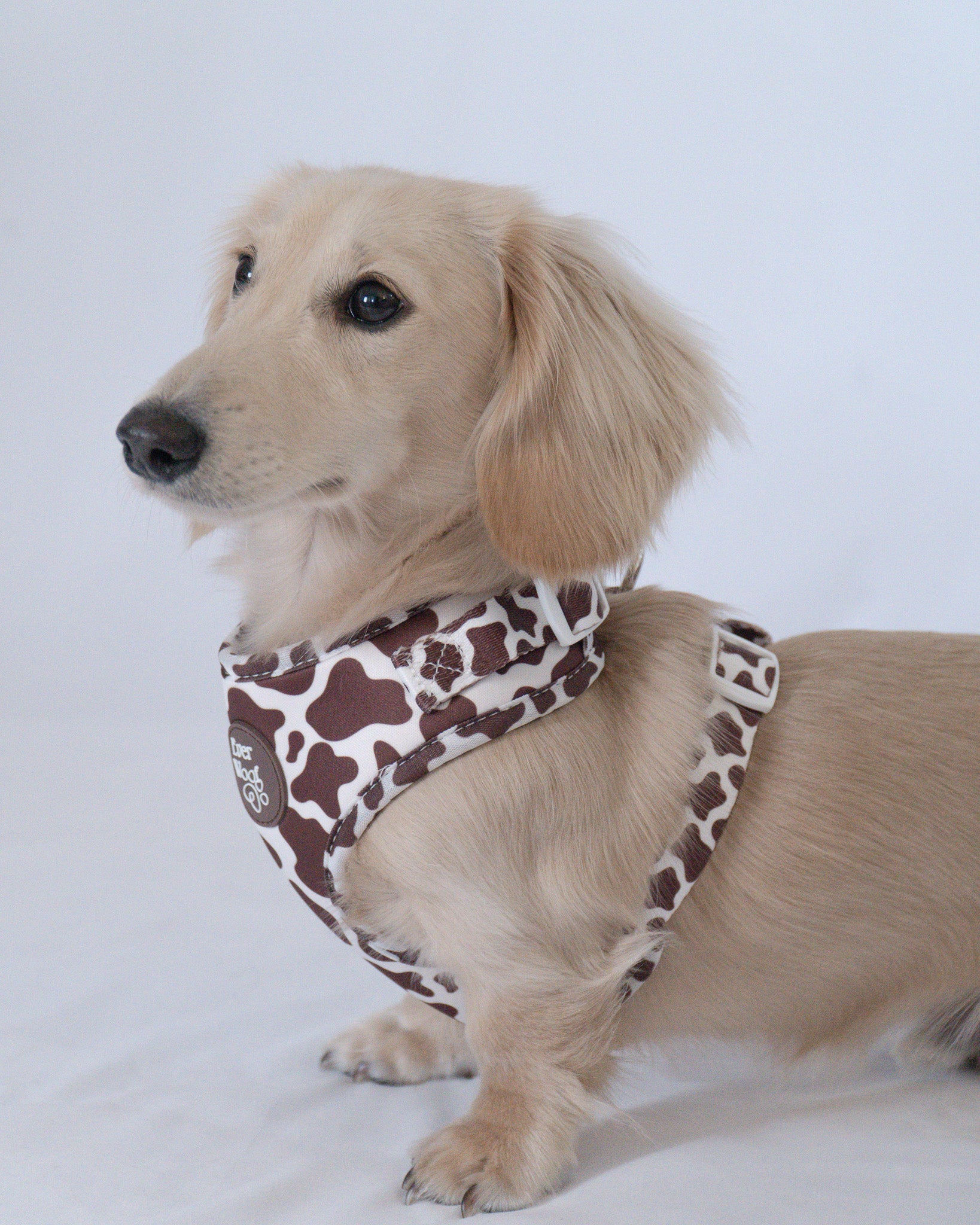 Cocoa Ranch Print Harness by EverWoof