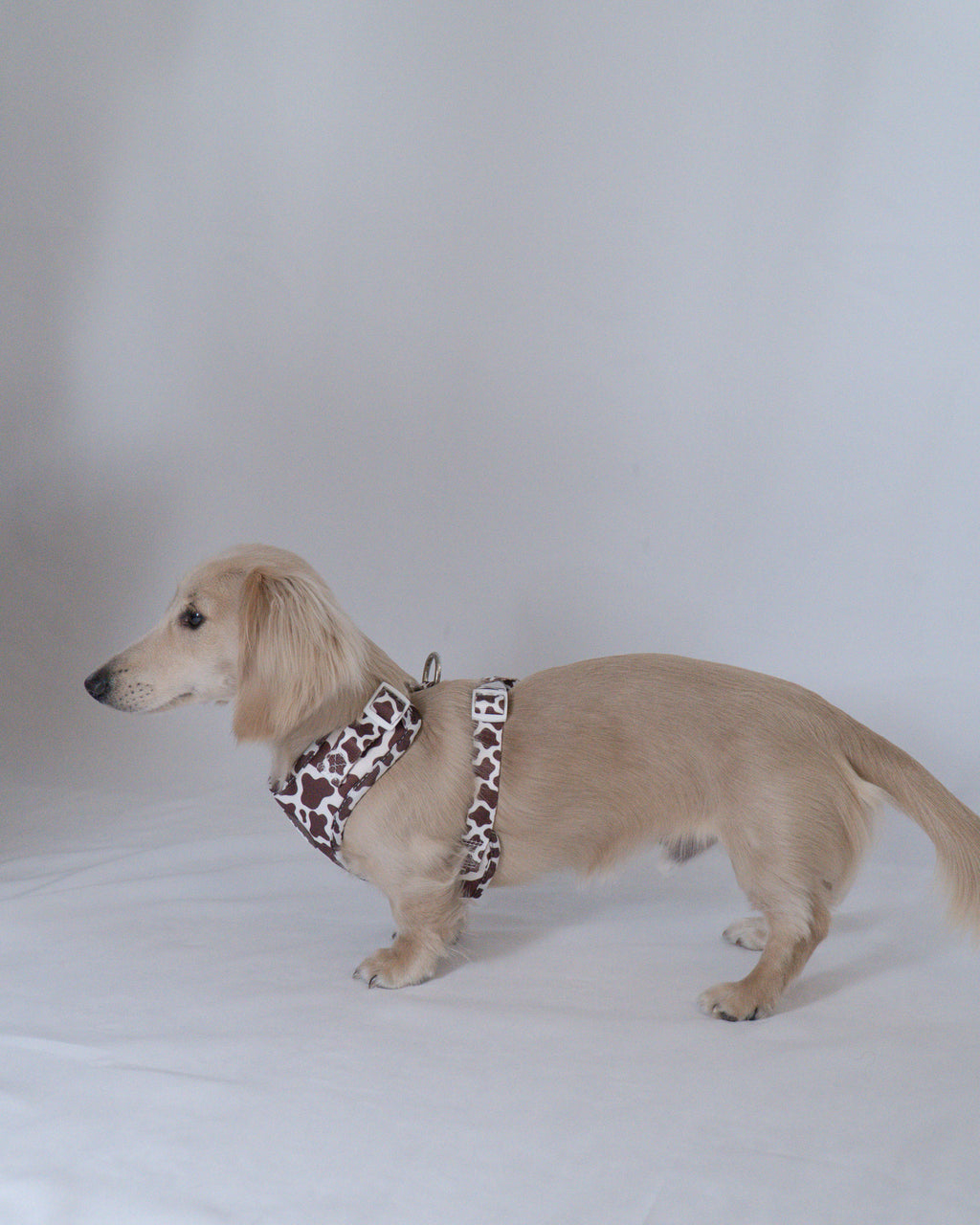 Cocoa Ranch Print Harness by EverWoof