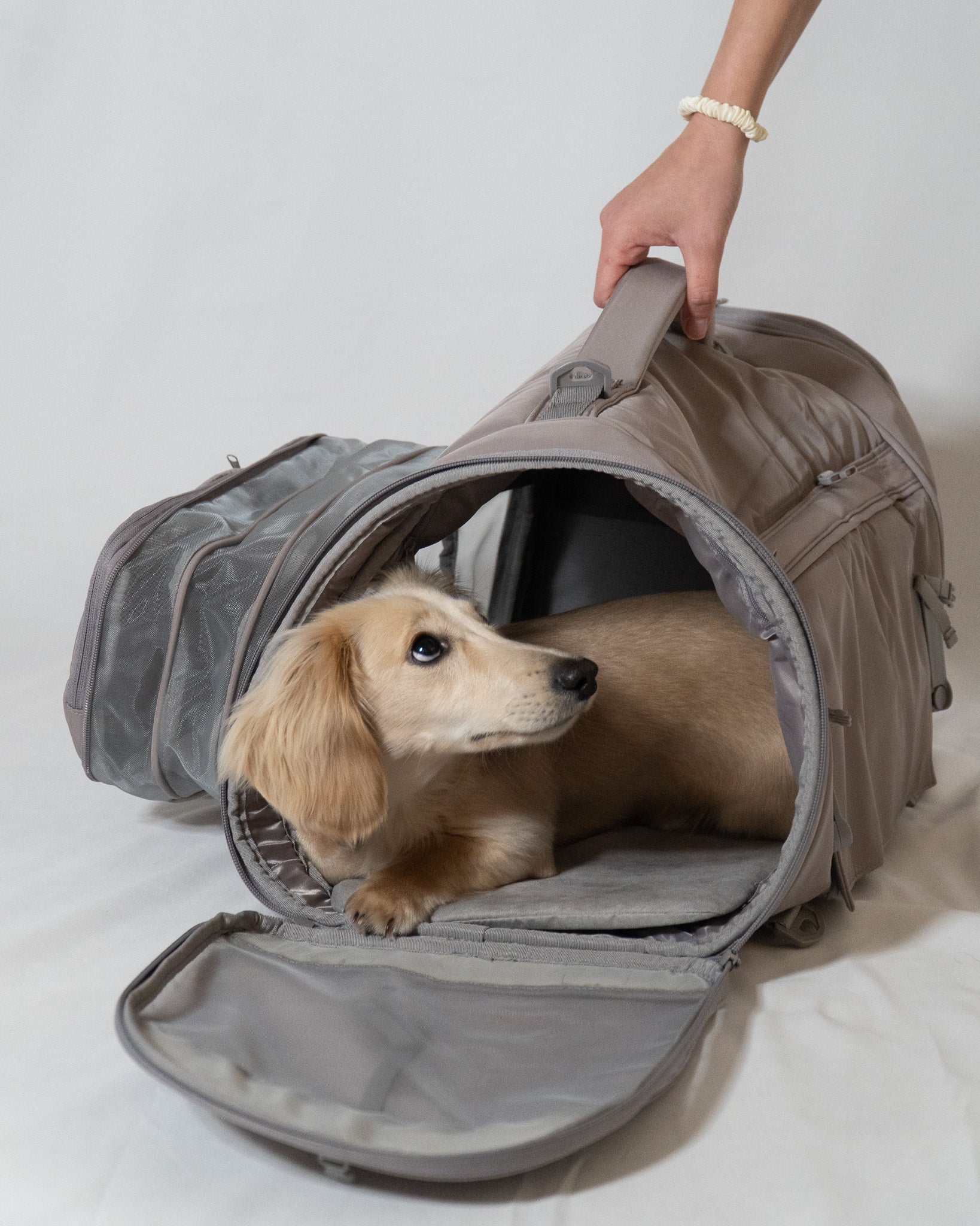 Nomad Multi-Carry Pet Carrier