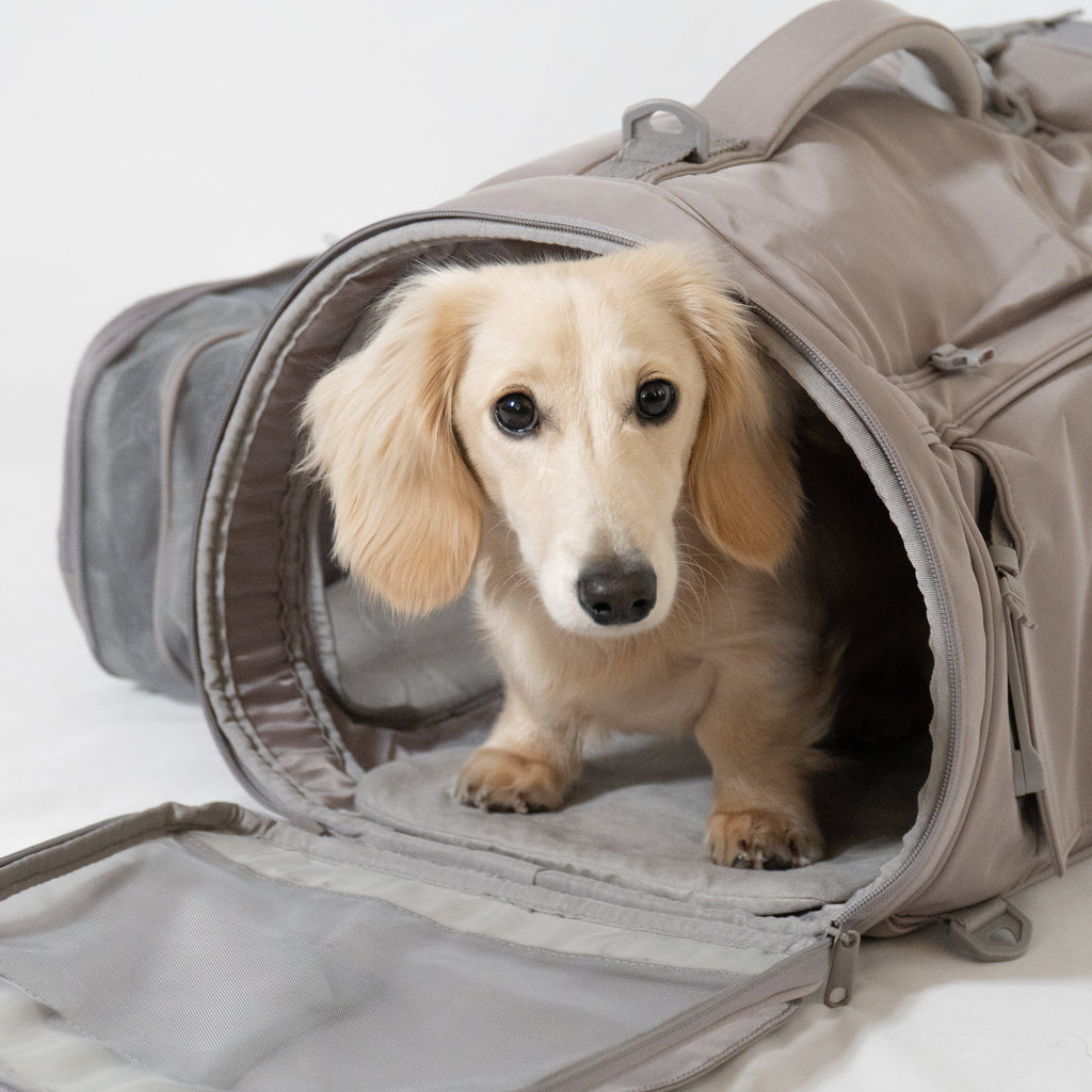 Nomad Multi-Carry Pet Carrier