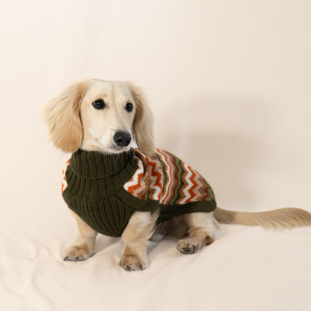 Alqo Wasi Alpaca Knit Dog Sweater