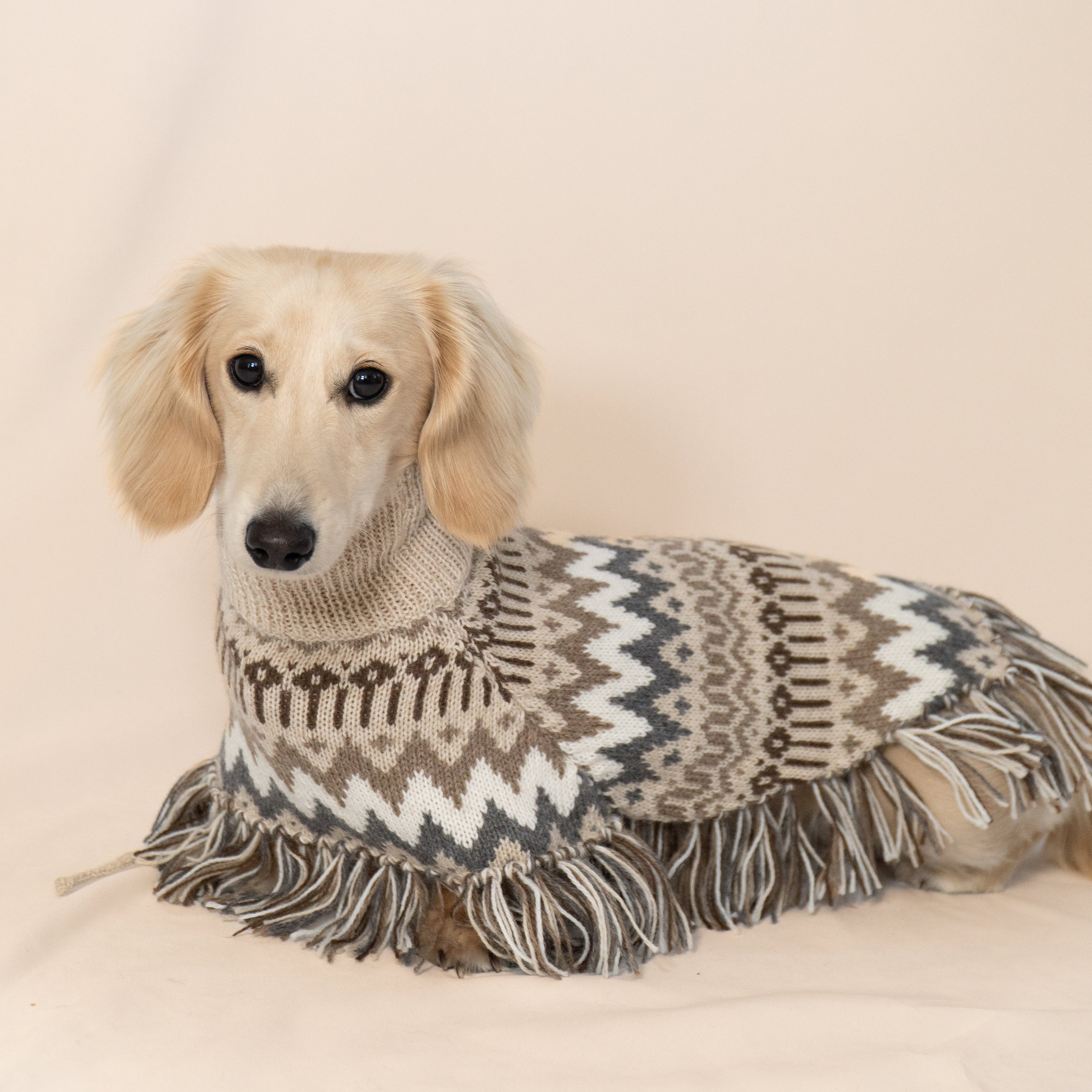 Alqo Wasi Alpaca Dog Poncho