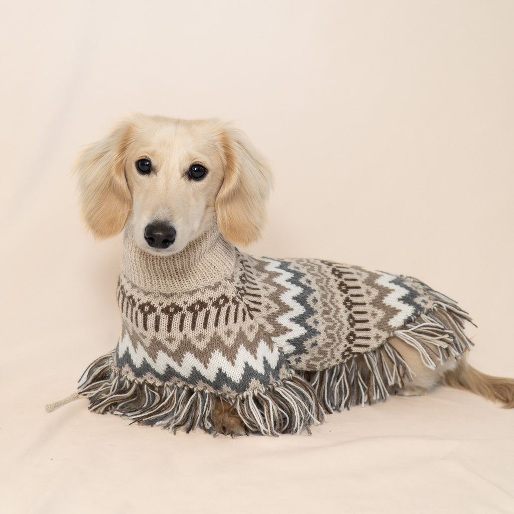 Alqo Wasi Alpaca Dog Poncho