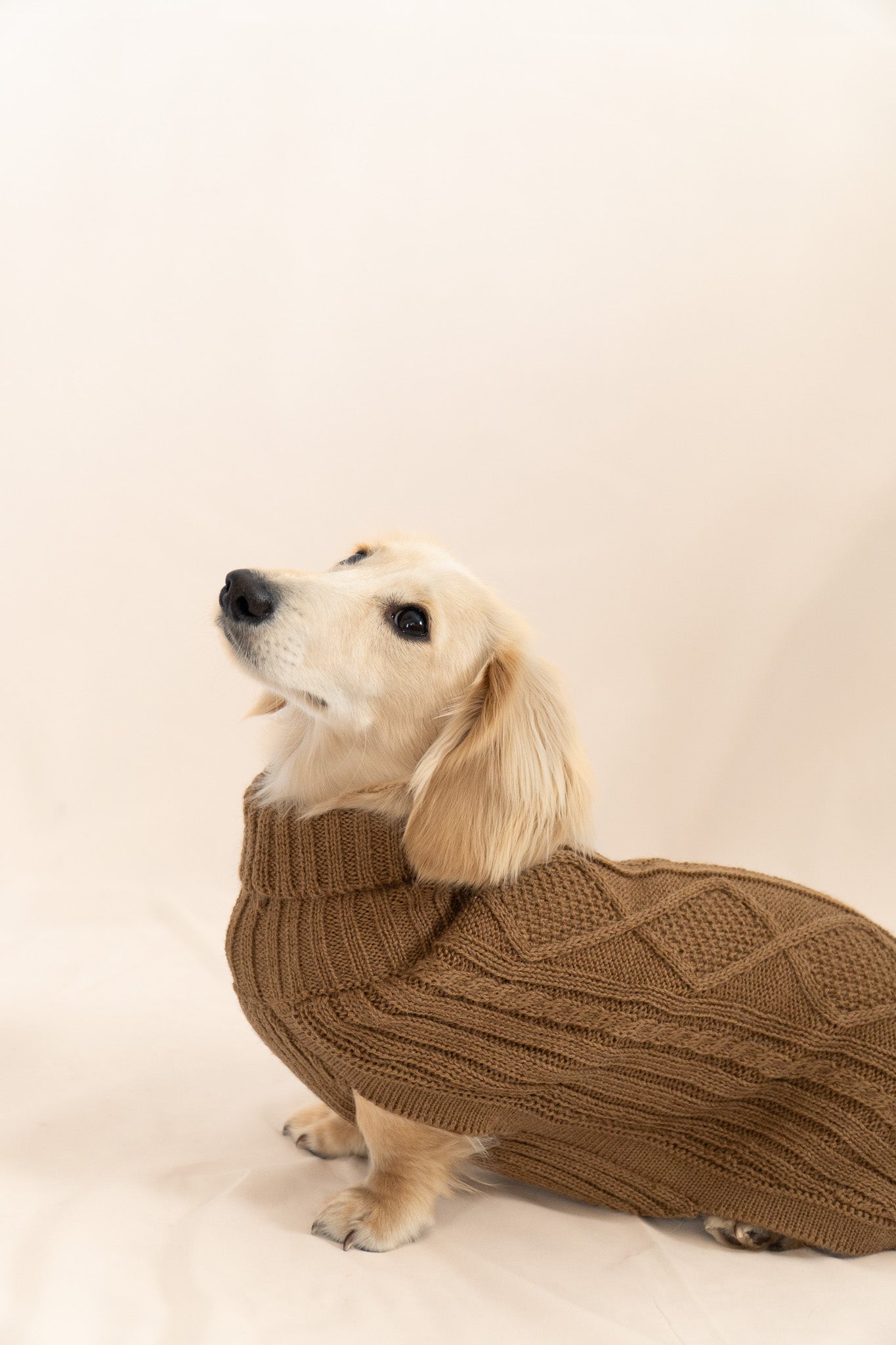 Camel Aran Alpaca Dog Sweater