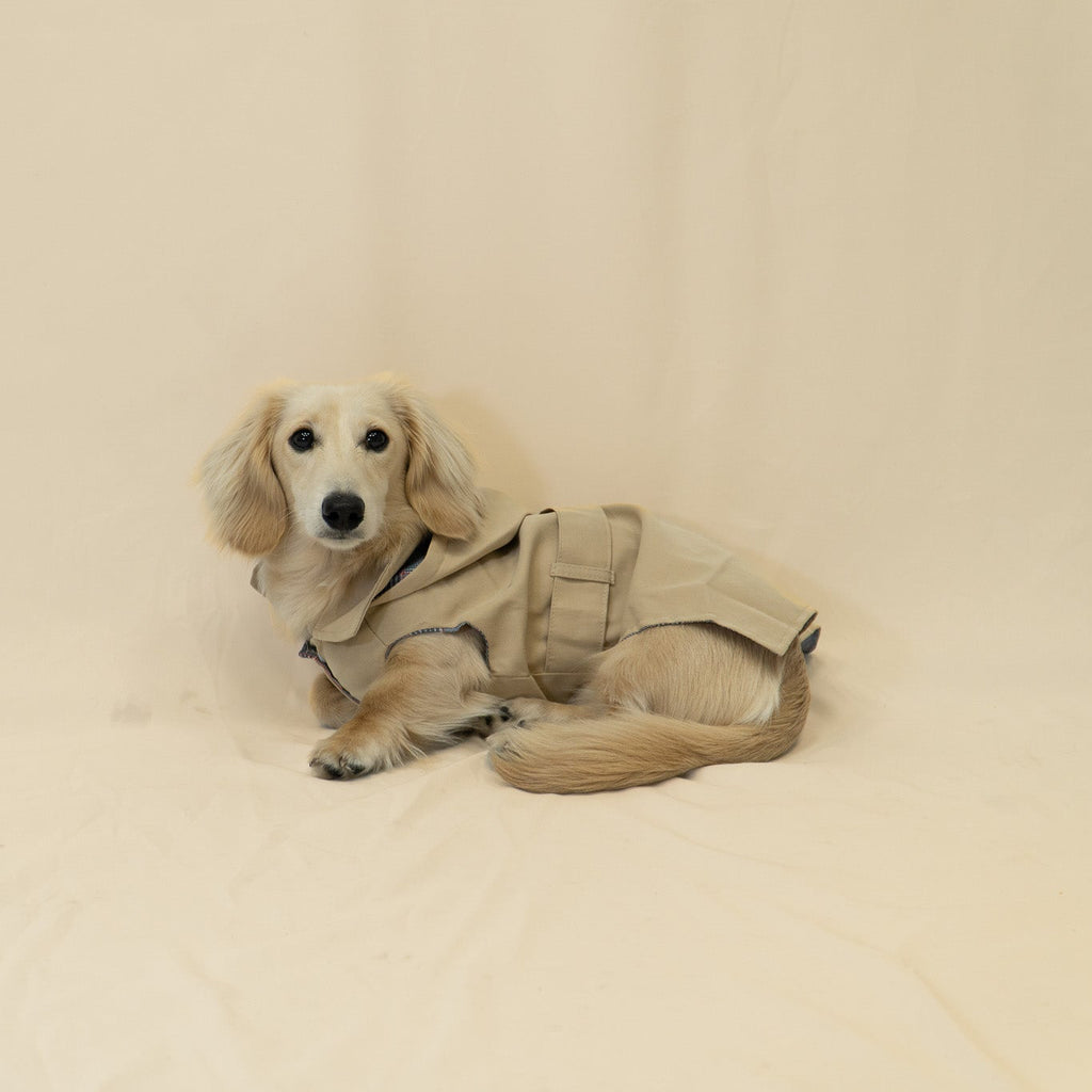 The Damoré Classic Trench Coat