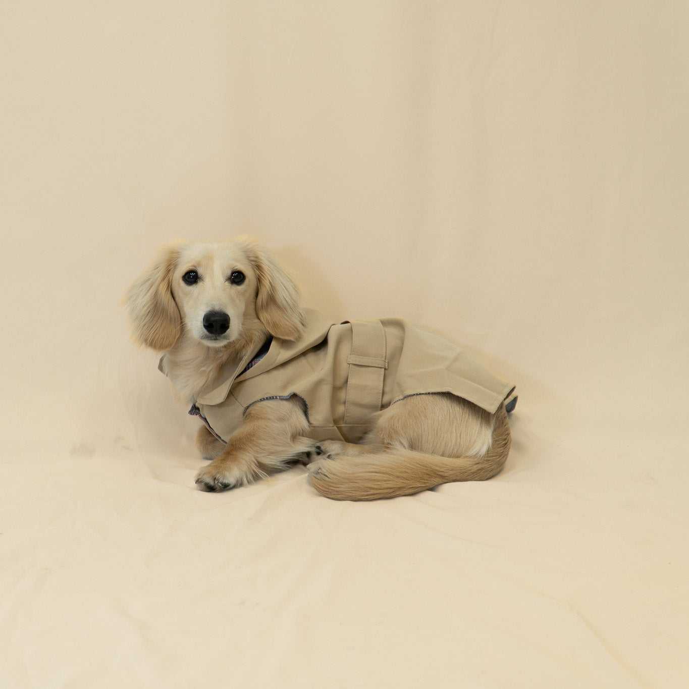 The Damoré Classic Trench Coat