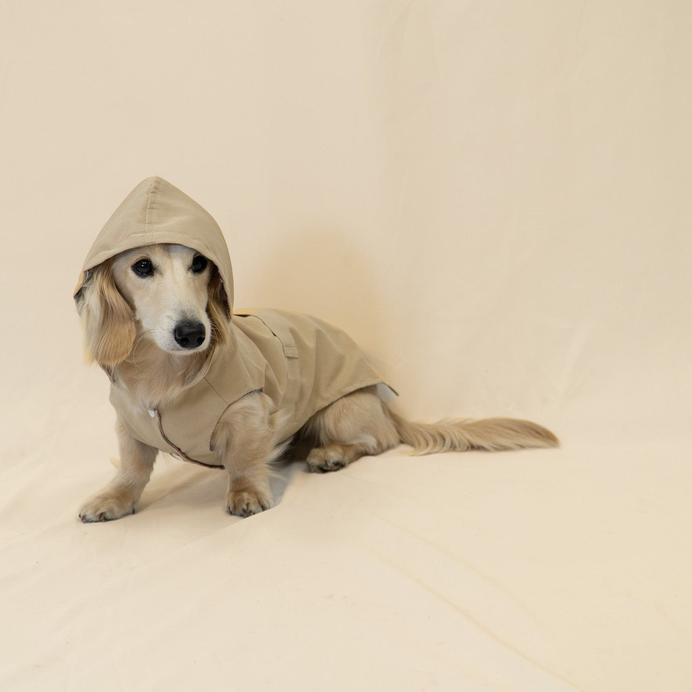 The Damoré Classic Trench Coat
