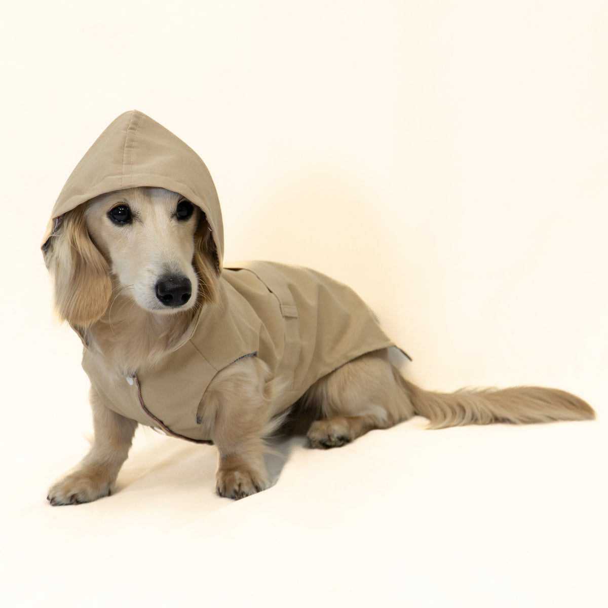 The Damoré Classic Trench Coat