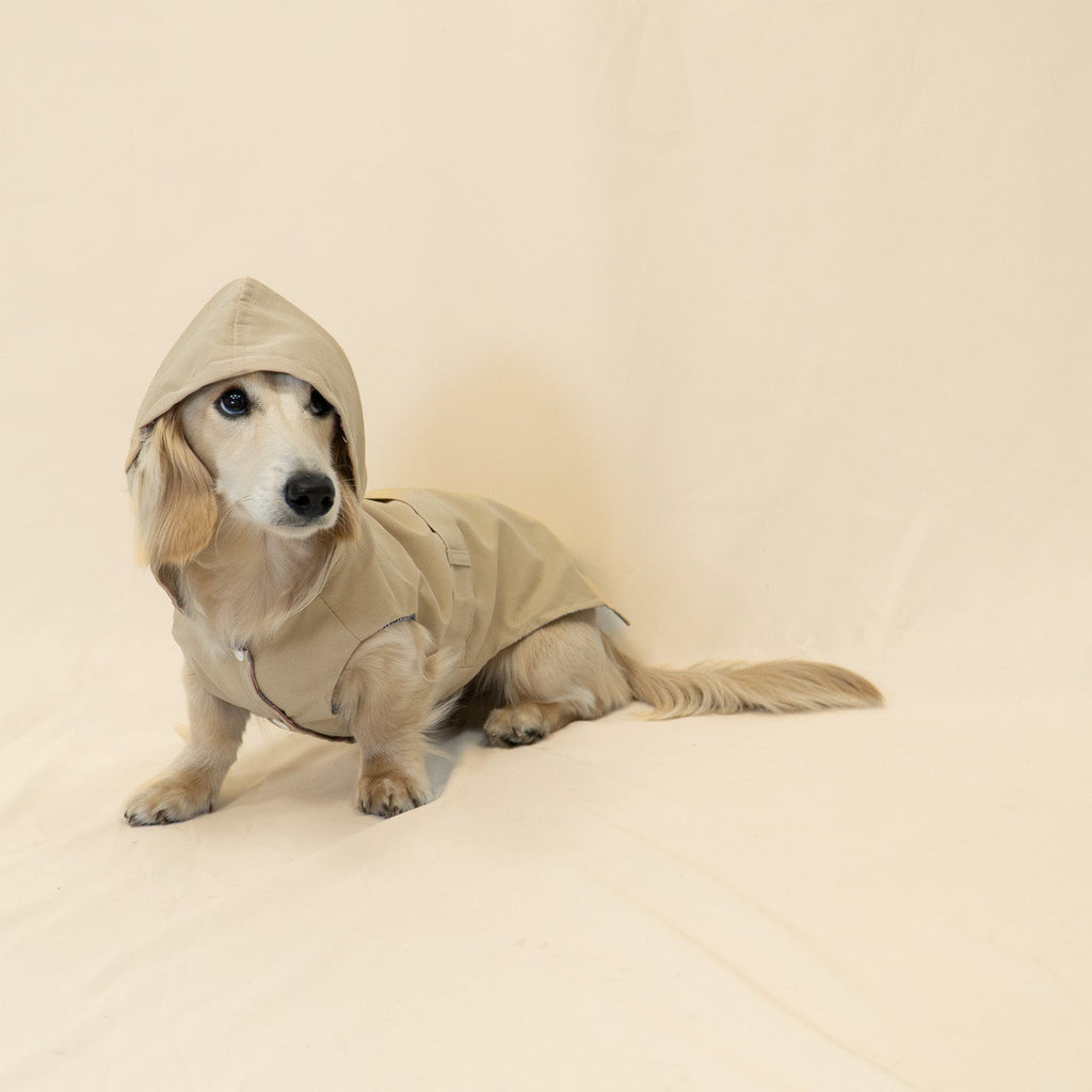 The Damoré Classic Trench Coat