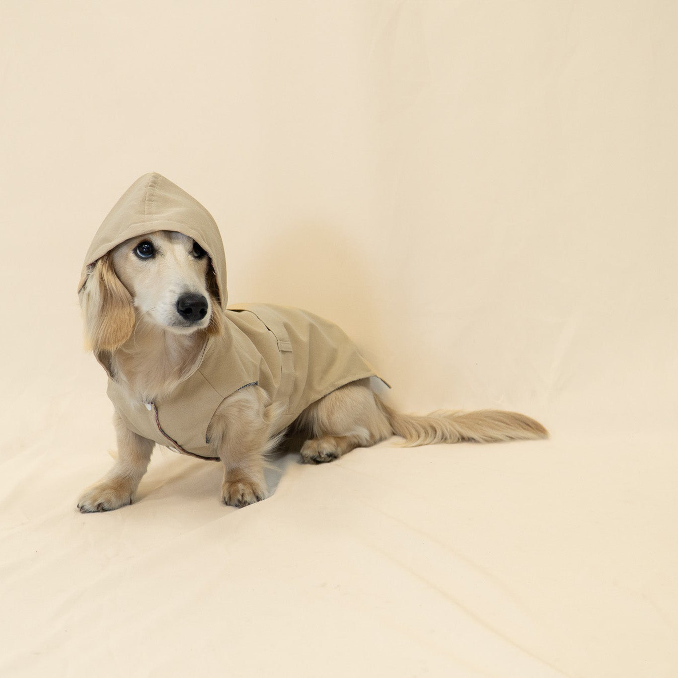The Damoré Classic Trench Coat