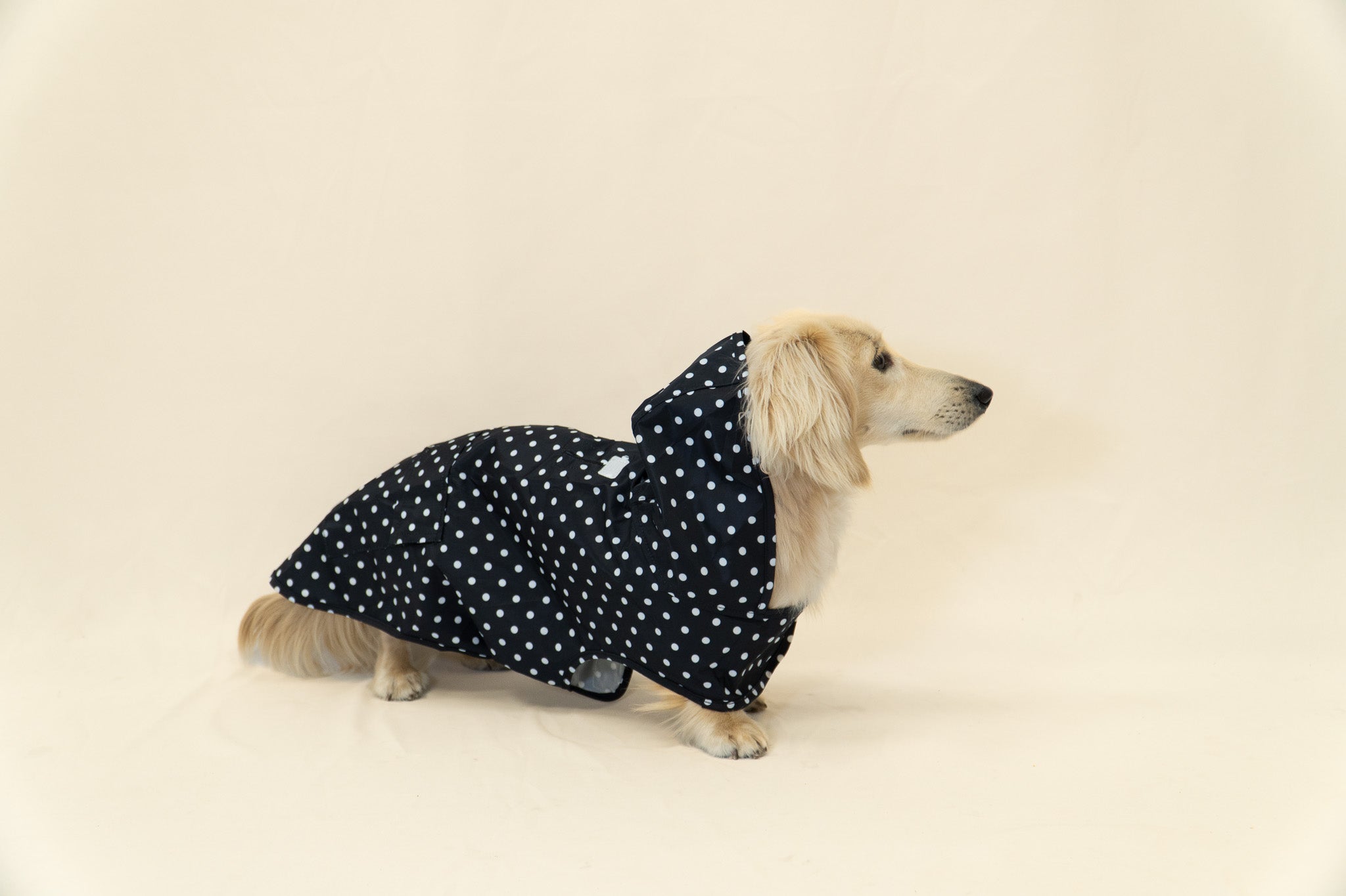 Dog Raincoat - Black Polka Dot