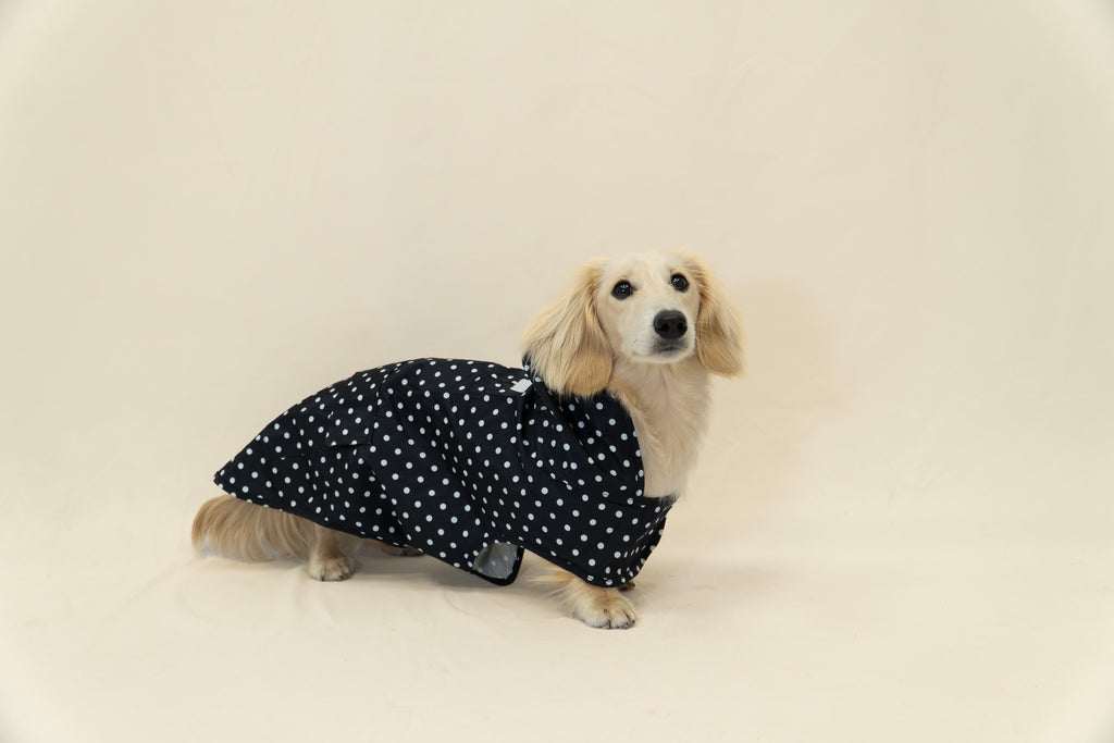Dog Raincoat - Black Polka Dot