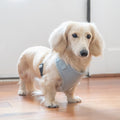 Nantucket Herringbone Harness