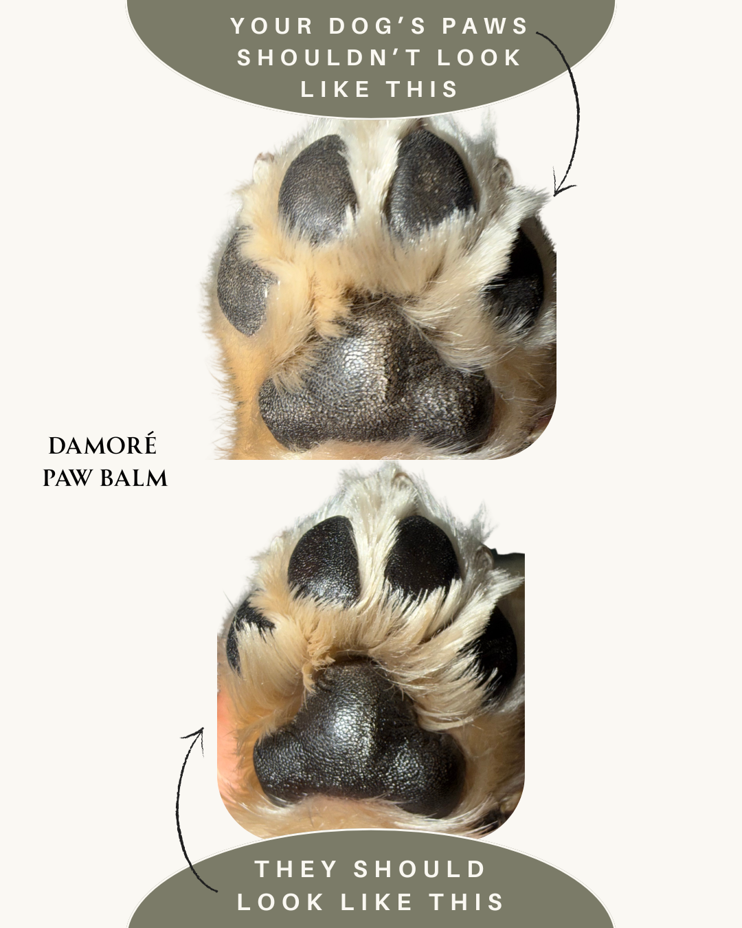 Damoré Paw Balm